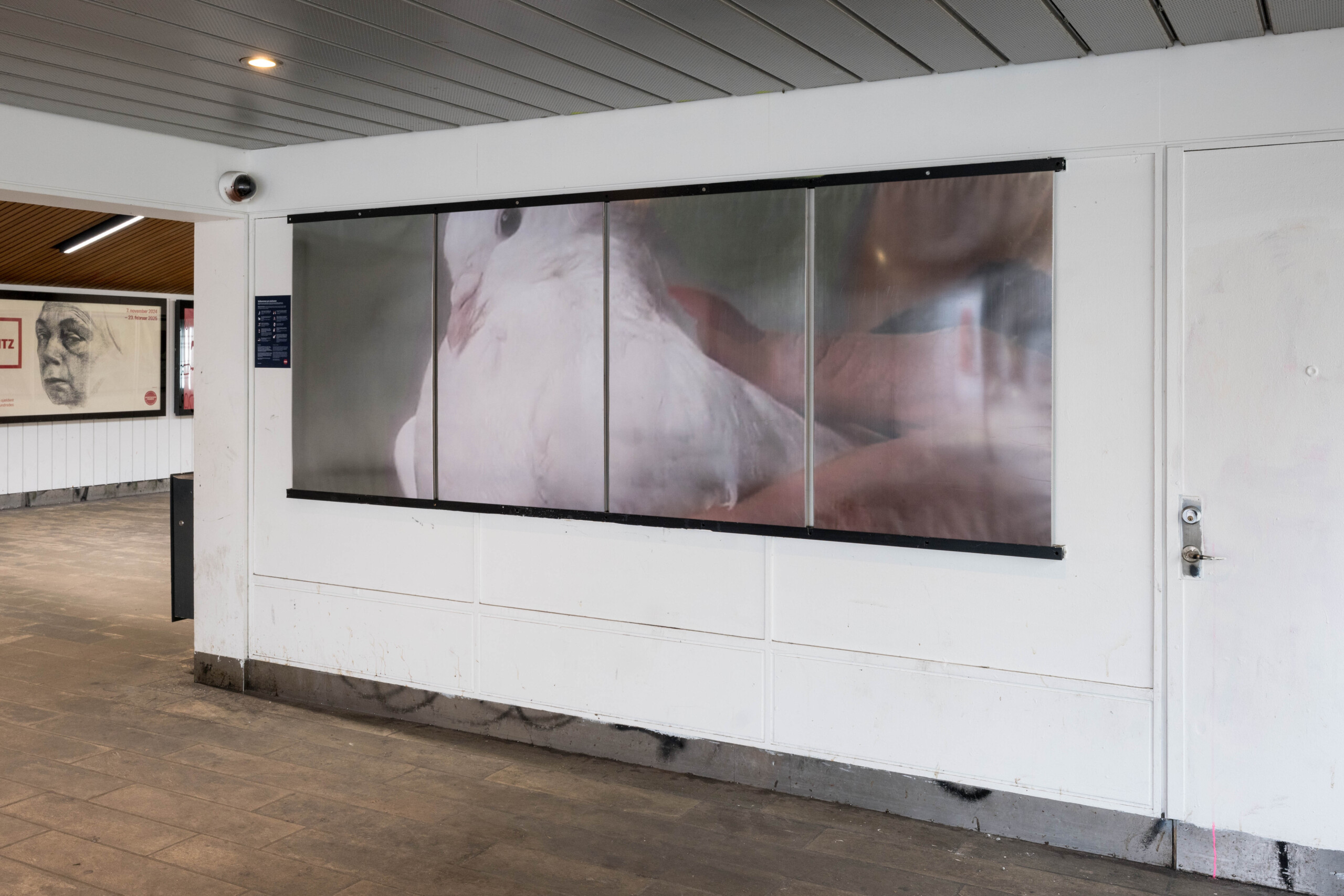 Udstillingstedet Sydhavn Station Borowed Feathers – group exhibition